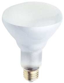 (DISCONTINUED ) Westinghouse (03646) 65BR30 FL
