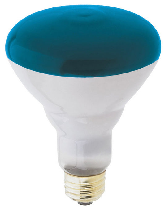 Westinghouse (04668) 75BR30 FL Blue