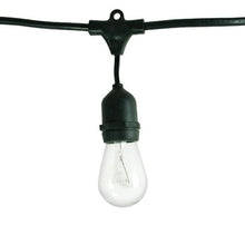Bulbrite 810002 - 48ft cord of string lights with Medium Screw Bulbs Included