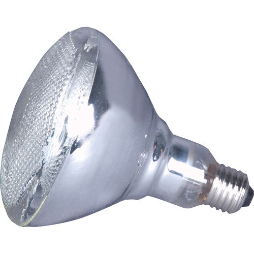 ADJ LL-PAR38 150W incandescent