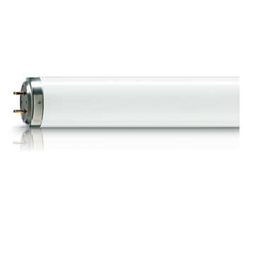 Philips (218040) - TL 40W/12 RS SLV