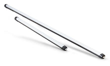 Quasar Q-LED T8 2' 5600k 15W (1 Available)
